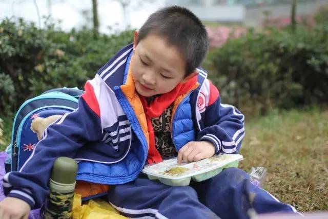 【未來(lái)課堂】“陽(yáng)光下成長(zhǎng)”華陽(yáng)實(shí)小攝影大賽啟幕啦!